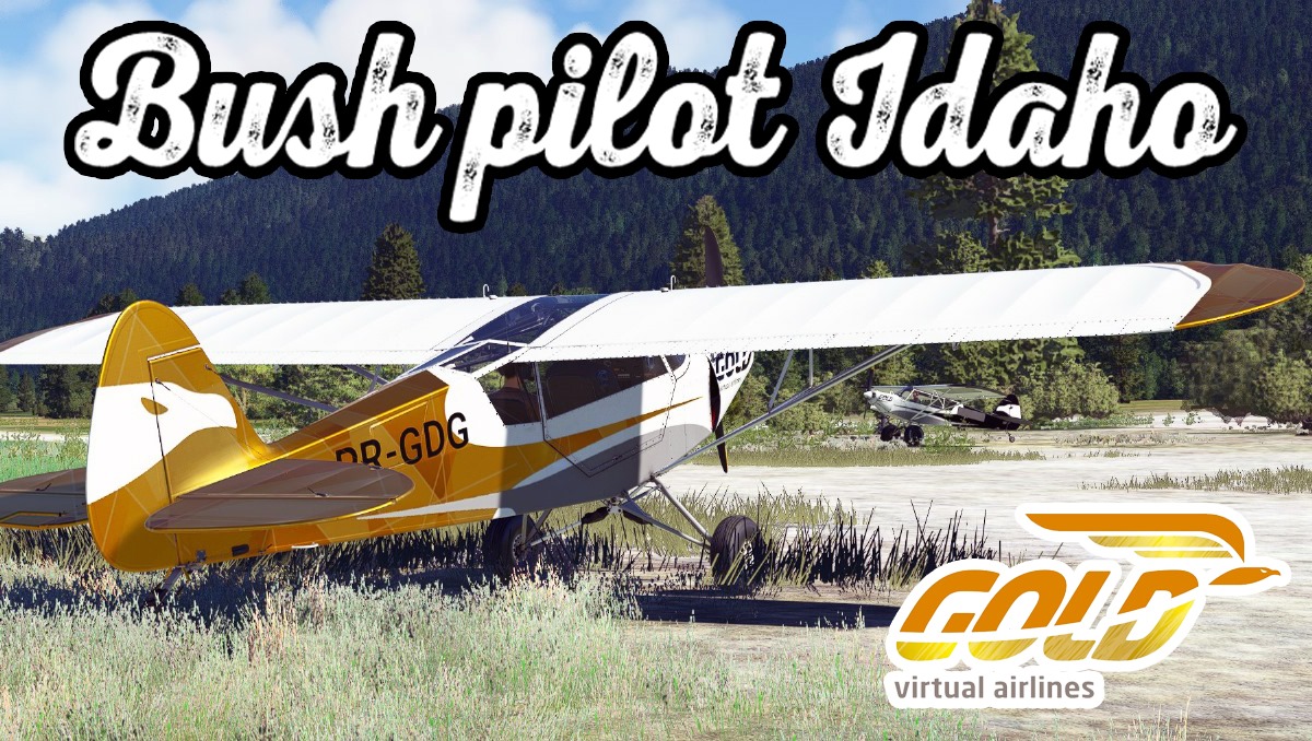Tour Bush Pilot Idaho